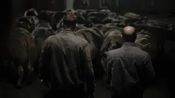 Backdrop to the movie "Bullhead" #238882