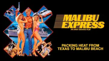 Backdrop to the movie "Malibu Express" #622988