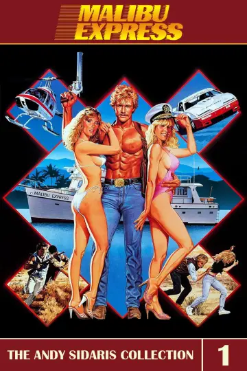 Poster to the movie "Malibu Express" #623063