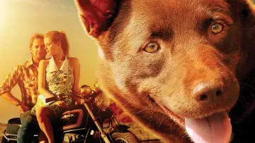 Backdrop to the movie "Red Dog" #988564