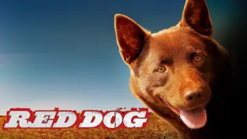 Backdrop to the movie "Red Dog" #988566