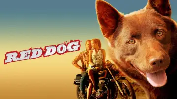 Backdrop to the movie "Red Dog" #988568