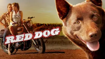 Backdrop to the movie "Red Dog" #988571