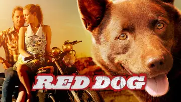 Backdrop to the movie "Red Dog" #988573