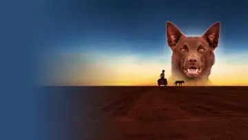 Backdrop to the movie "Red Dog" #988577