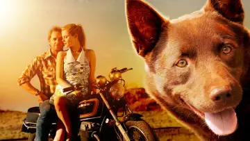 Backdrop to the movie "Red Dog" #988581