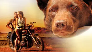 Backdrop to the movie "Red Dog" #988584