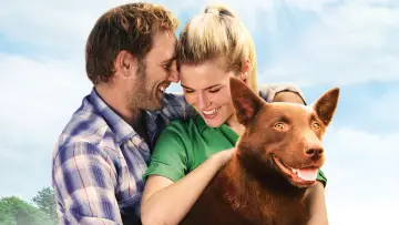 Backdrop to the movie "Red Dog" #988585