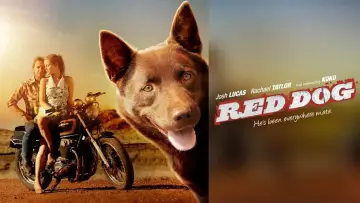 Backdrop to the movie "Red Dog" #988588