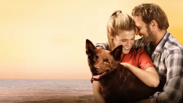 Backdrop to the movie "Red Dog" #988591