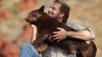 Backdrop to the movie "Red Dog" #988593