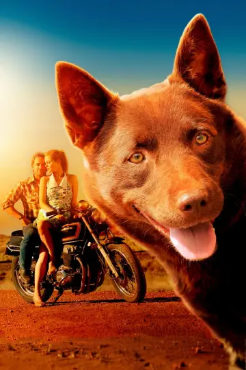 Poster to the movie "Red Dog" #988599
