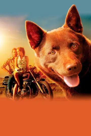 Poster to the movie "Red Dog" #988600