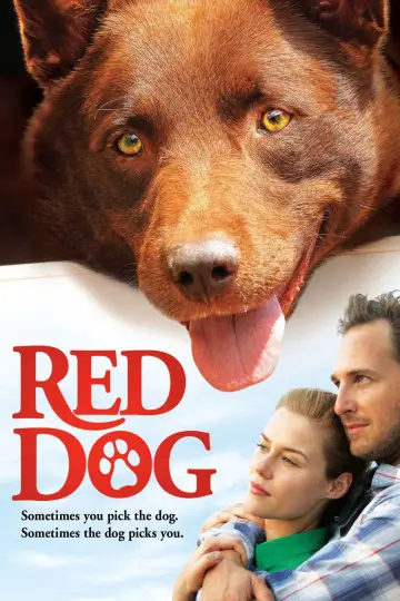 Poster to the movie "Red Dog" #988602