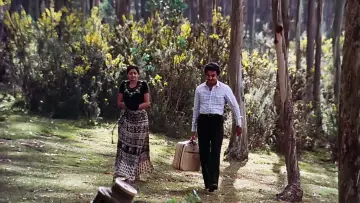 Backdrop to the movie "Moondram Pirai" #1158578