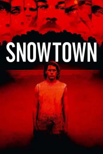Poster to the movie "Snowtown" #971407