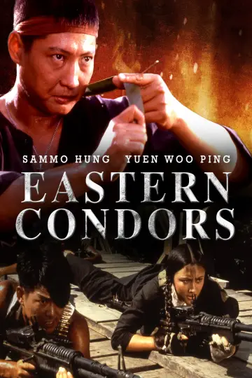 Poster to the movie "Eastern Condors" #935423