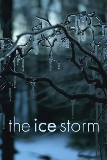 Poster to the movie "The Ice Storm" #880561