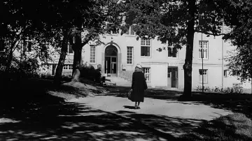 Backdrop to the movie "Waiting Women" #1137046