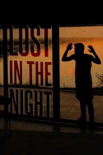 Poster to the movie "Lost in the Night" #1042393
