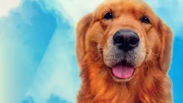 Backdrop to the movie "My Heart Puppy" #1051655