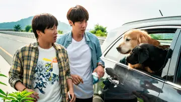 Backdrop to the movie "My Heart Puppy" #1051656