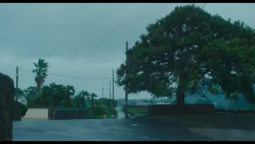 Backdrop to the movie "Soulmate" #887458