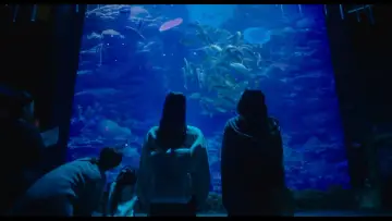 Backdrop to the movie "Soulmate" #887549