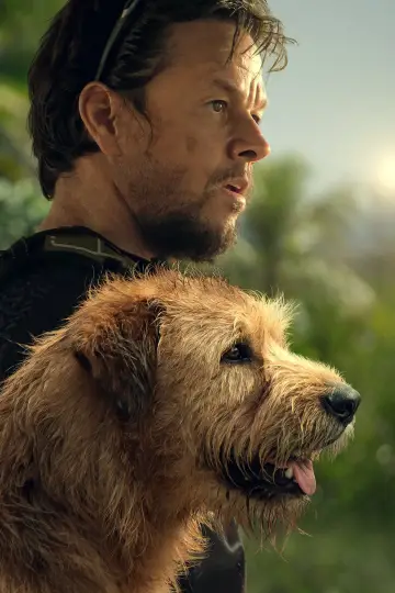 Poster to the movie "Arthur the King" #418307