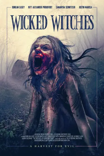 Poster to the movie "Wicked Witches" #1279768