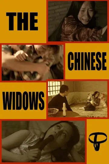 Poster to the movie "中国式寡妇" #856849