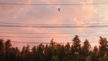 Backdrop to the movie "Spider-Man: No Way Home" #525383