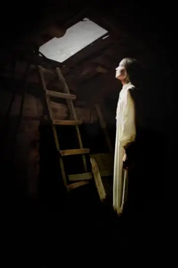 Poster to the movie "Darkness" #1005306