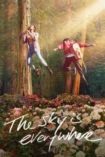 Poster to the movie "The Sky Is Everywhere" #1078408