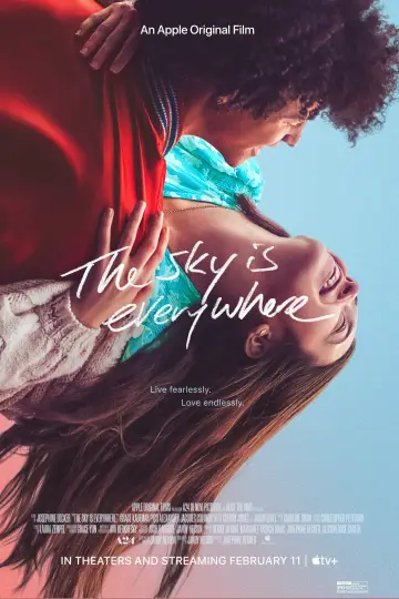 Poster to the movie "The Sky Is Everywhere" #1078410