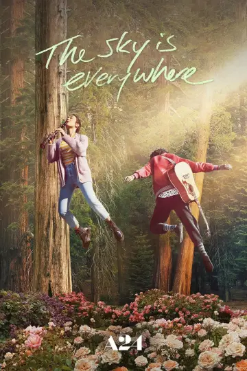 Poster to the movie "The Sky Is Everywhere" #1078411