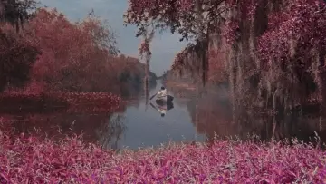 Backdrop to the movie "Blue Bayou" #1014811