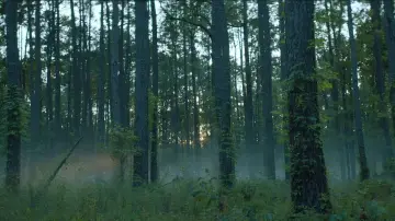 Backdrop to the movie "Rebel Ridge" #593205