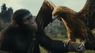 Backdrop to the movie "Kingdom of the Planet of the Apes" #315151