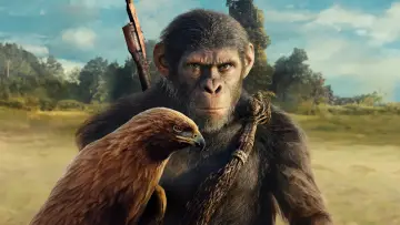 Backdrop to the movie "Kingdom of the Planet of the Apes" #478927