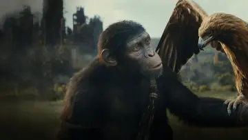 Backdrop to the movie "Kingdom of the Planet of the Apes" #557952