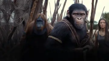 Backdrop to the movie "Kingdom of the Planet of the Apes" #557971