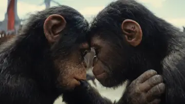 Backdrop to the movie "Kingdom of the Planet of the Apes" #558004