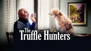 Backdrop to the movie "The Truffle Hunters" #1078068