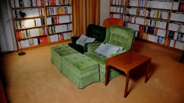 Bergmans video poster
