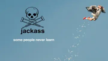 Backdrop to the movie "Jackass Forever" #93150