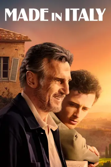 Poster to the movie "Made in Italy" #108960