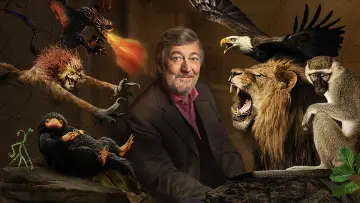 Backdrop to the movie "Fantastic Beasts: A Natural History" #1060580