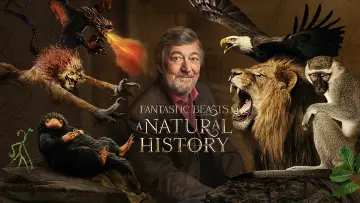 Backdrop to the movie "Fantastic Beasts: A Natural History" #1060581