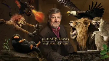 Backdrop to the movie "Fantastic Beasts: A Natural History" #1060582